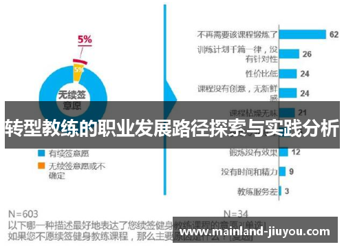 转型教练的职业发展路径探索与实践分析 转型教练的职业发展路径探索与实践分析