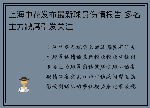 上海申花发布最新球员伤情报告 多名主力缺席引发关注